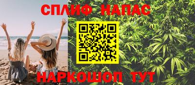 сатива Будённовск