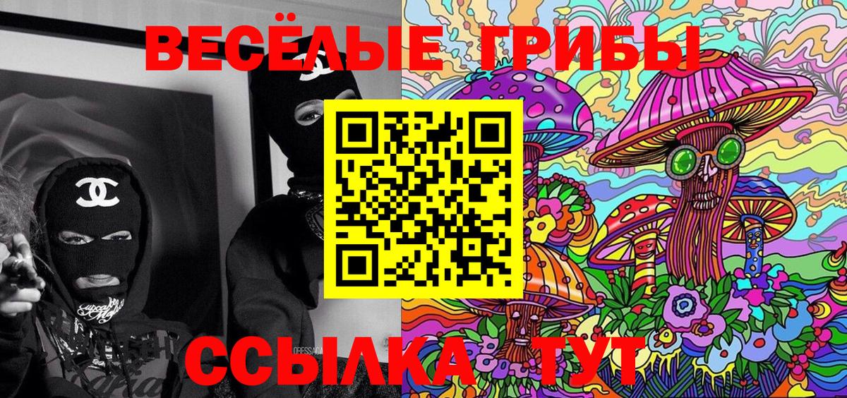 Псилоцибиновые грибы Cubensis Иркутск