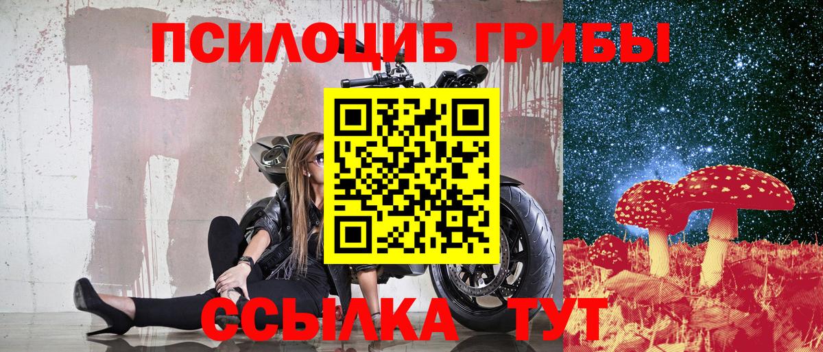 Иркутск  Галлюциногенные грибы прущие грибы  наркота  Вход с VPN 